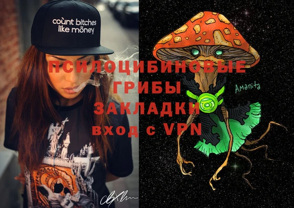 дмт Чердынь