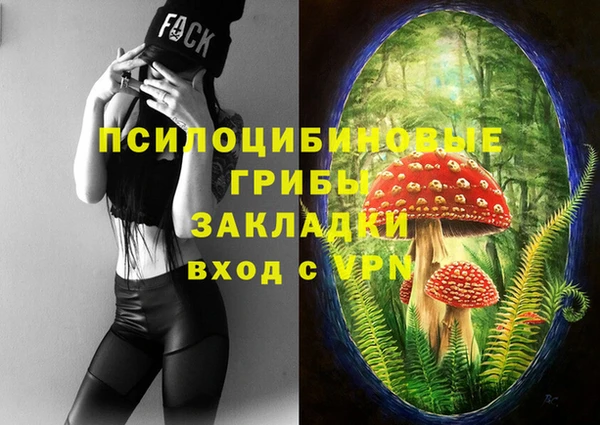 MESCALINE Вяземский