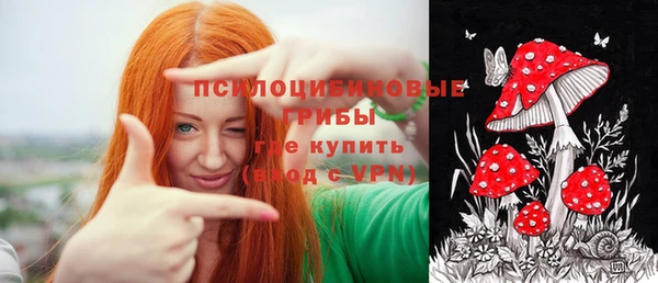 гидропоника Богородск