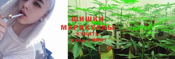 амфетамин Богданович