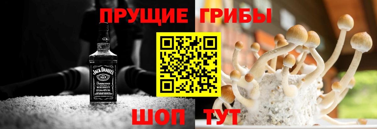 Псилоцибиновые грибы Psilocybine cubensis Дюртюли